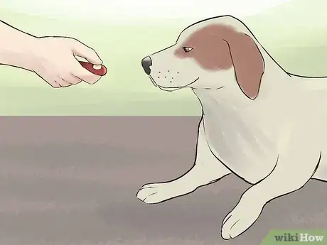 Image intitulée Make a Dog Love You Step 3