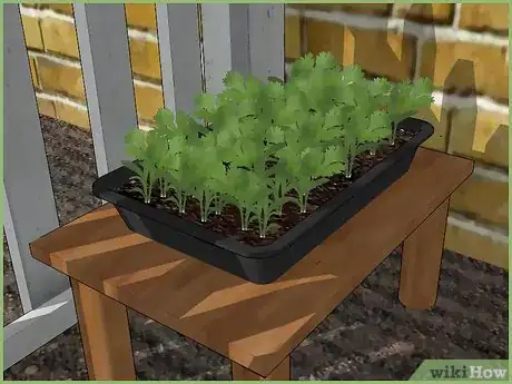 Image intitulée Plant a Seed Step 10