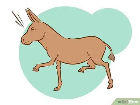 Image intitulée Ride a Donkey Step 2