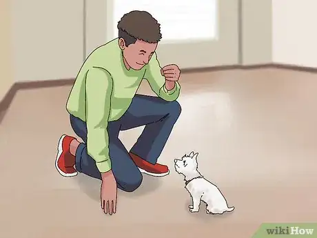 Image intitulée Take Care of Puppies Step 39