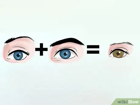Image intitulée Predict Your Baby's Eye Color Step 7