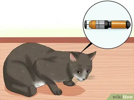 Image intitulée Care for Indoor Cats Step 18