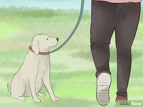 Image intitulée Make a Dog Love You Step 10