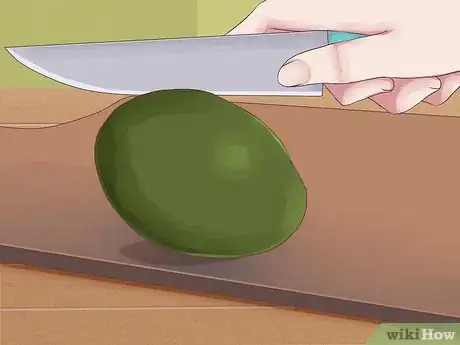 Image intitulée Grow Avocados Step 5