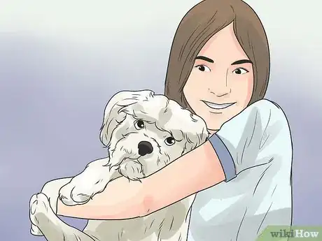 Image intitulée Care for a Maltese Dog Step 17