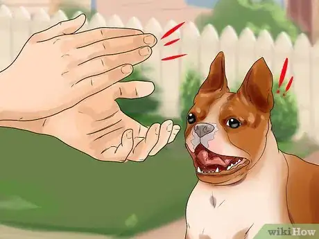 Image intitulée Temperament Test a Dog Step 19