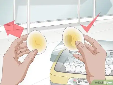 Image intitulée Use an Incubator to Hatch Eggs Step 21
