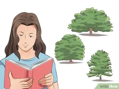 Image intitulée Identify Oak Trees Step 1