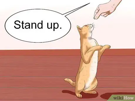 Image intitulée Get Your Cat to Stand Up Step 5