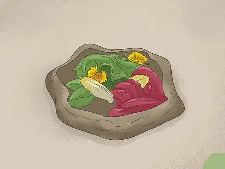 Image intitulée Make A Habitat for Hermann’s Tortoises Step 11