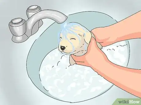 Image intitulée Take Care of Puppies Step 36