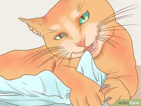 Image intitulée Reduce Stress in Cats Step 8