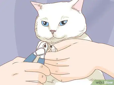 Image intitulée Trim Your Cat's Nails Step 10