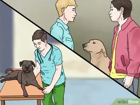 Image intitulée Punish a Dog Step 11