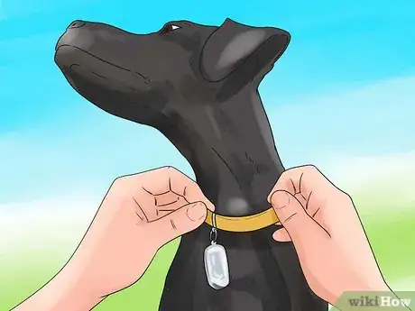 Image intitulée Be a Good Dog Owner Step 4