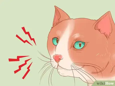 Image intitulée Reduce Stress in Cats Step 5