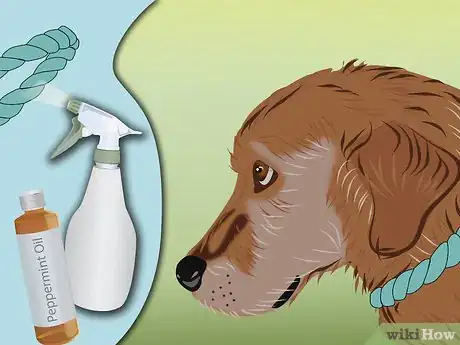 Image intitulée Control Fleas by Using Peppermint Step 6