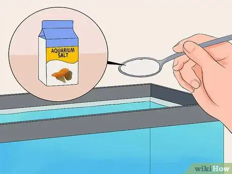 Image intitulée Save a Dying Betta Fish Step 19