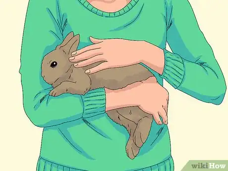Image intitulée Pick up a Rabbit Step 9