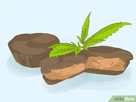 Image intitulée Get Rid of Weed Smell Step 16