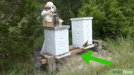 Image intitulée Raise Bees Step 3