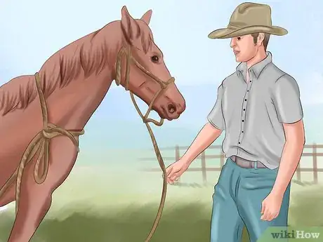 Image intitulée Get Your Horse to Trust and Respect You Step 17