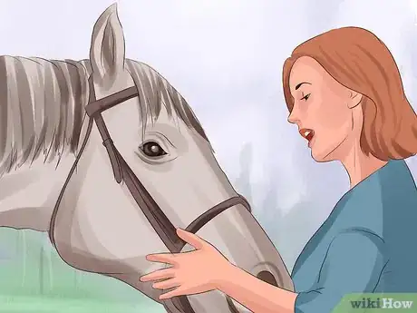 Image intitulée Tame a Horse or Pony Step 2