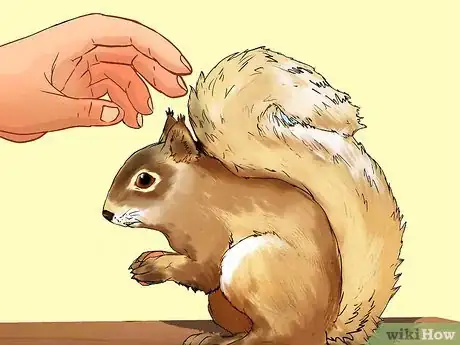 Image intitulée Keep a Pet Squirrel Step 16