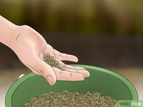 Image intitulée Grow Grass from Seeds Step 7