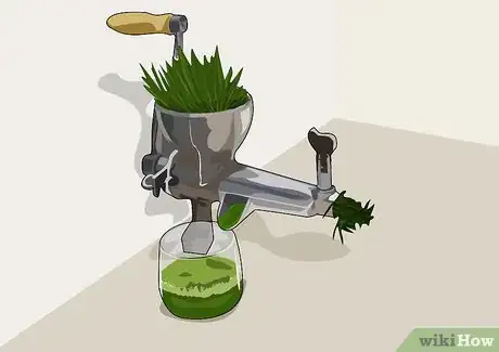 Image intitulée Juice Wheatgrass Step 6