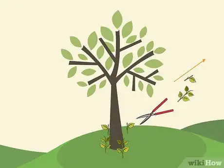 Image intitulée Mulch Around a Tree Step 02