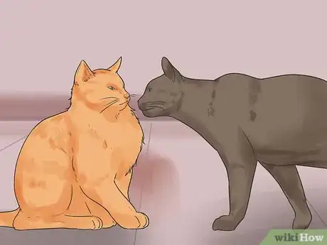 Image intitulée Bring a Second Cat Into the Family and Not Make Your Old Cat Upset Step 10