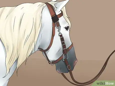 Image intitulée Braid a Horse's Mane Step 2