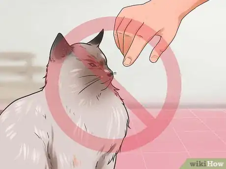 Image intitulée Stop a Cat from Biting and Scratching Step 2