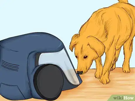 Image intitulée Teach Your Pet Not to be Scared of the Vacuum Cleaner Step 3