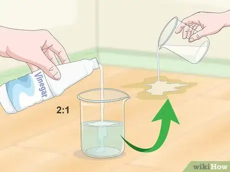 Image intitulée Clean Cat Urine Step 13