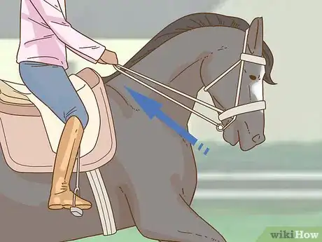 Image intitulée Calm Your Horse Down Quickly Step 6