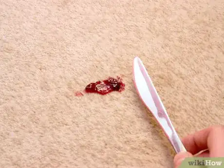 Image intitulée Remove Jam or Jelly Stains from Carpet Step 1