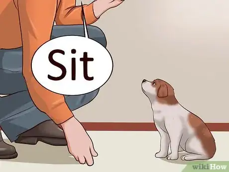 Image intitulée Teach Your Puppy to Lie Down Step 1