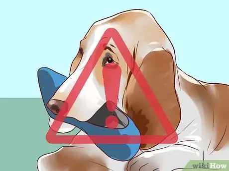 Image intitulée Love Your Dog Step 2