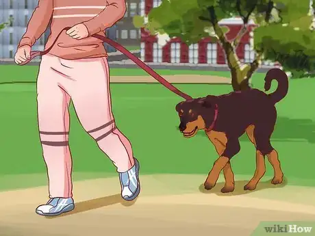 Image intitulée Stop a Dog from Pulling on Its Leash Step 7