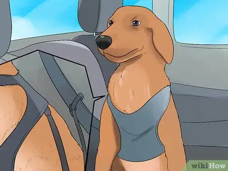 Image intitulée Calm a Nervous Dog in the Car Step 1