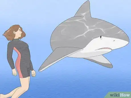 Image intitulée Get over Your Fear of Sharks Step 2