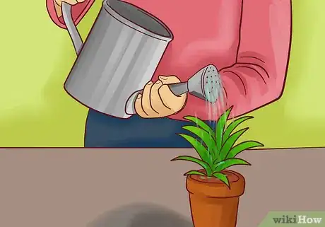 Image intitulée Transplant a Plant Step 1