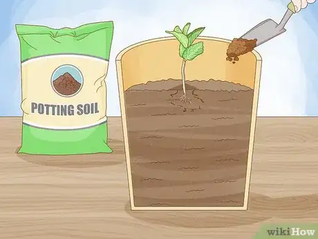Image intitulée Grow Mint in a Pot Step 17