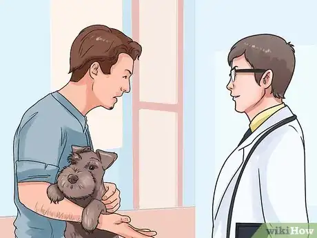 Image intitulée Save a Choking Dog Step 13