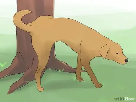 Image intitulée Make Your Dog Drink Water Step 10
