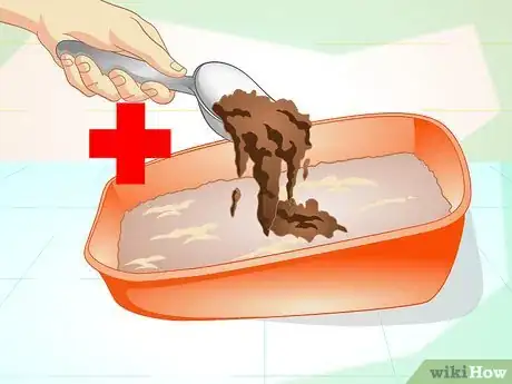 Image intitulée Maintain Your Kitten's Litter Box Step 11