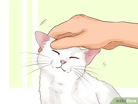 Image intitulée Pick Up a Cat Step 2