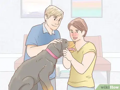 Image intitulée Take Care of a Dog Step 16